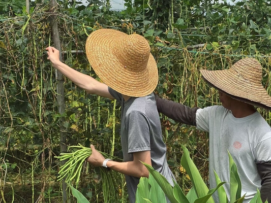 Morningsiders in Kaiping