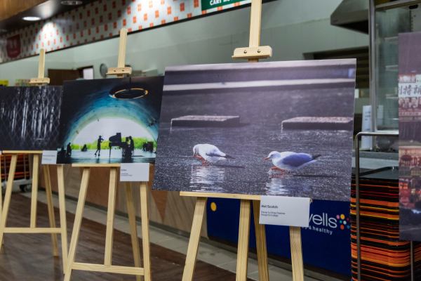 Winning photographs.