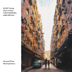 Meaningfulness 2nd Prize – ‘Life Companion, Walk With You’ by Ka Kit Yeung, Shaw College