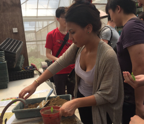 Students learn how to transplant seedlings